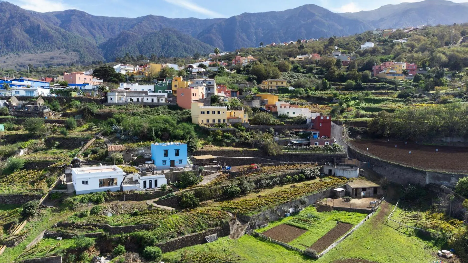 Ek Drago Finca El Milagro La Orotava