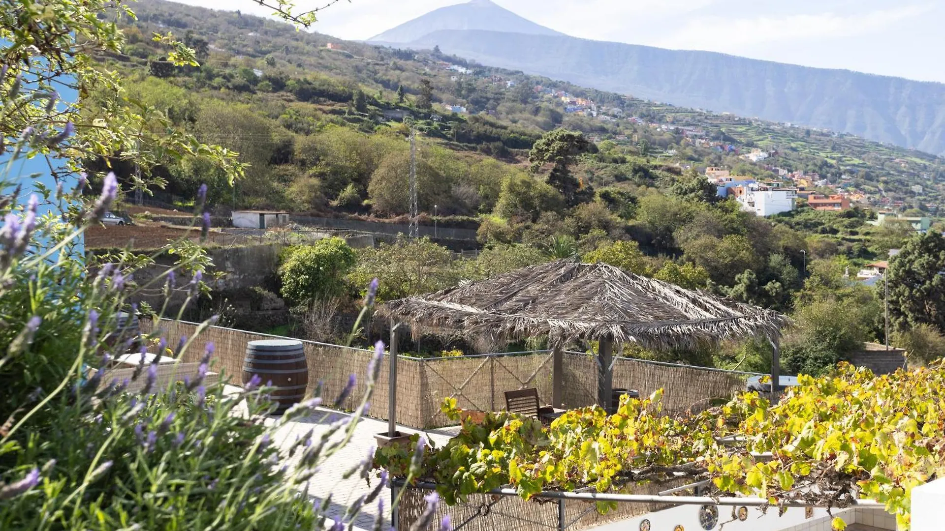 Ek Drago Finca El Milagro La Orotava 0*,  Spain